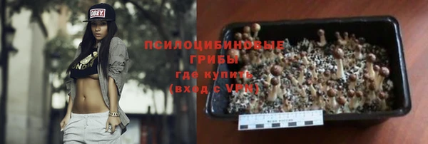 герыч Алексин